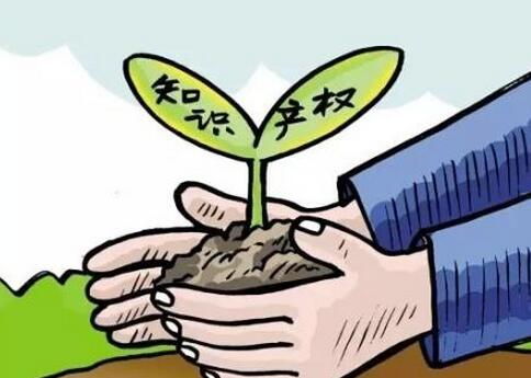 专利申请书撰写方式