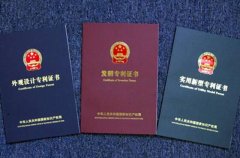 手机类专利申请需要注意哪些原则
