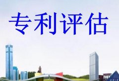 专利评估影响因素