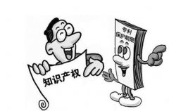 最新专利优先权优先权特点条例
