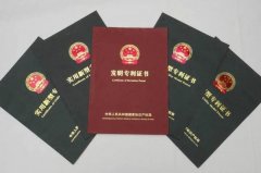 申请专利中主号分类是什么意思