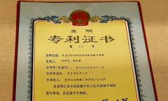 专利权保护有哪些措施