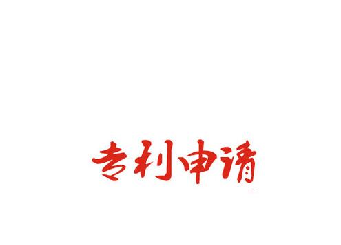 我国专利类型划分要求
