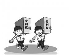 专利权的特点主要体现在那些方面