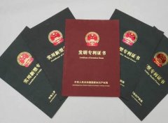 专利实质性审查机检方式有何要求