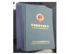 专利实质审查申请书范例
