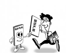 实质审查的原则要求