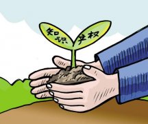 专利权申请中有哪些手续