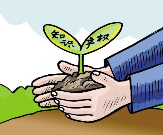 专利权申请中有哪些手续