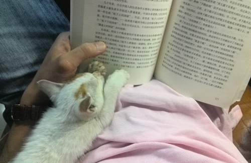 专著第二作者查不到是假书吗