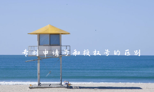 专利申请号和授权号的区别