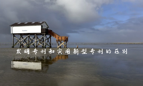 发明专利和实用新型专利有什么区别