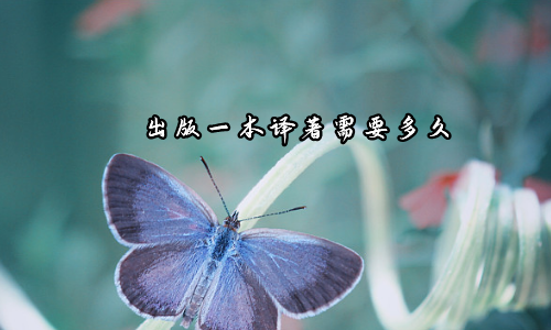 出版一本译著需要多久