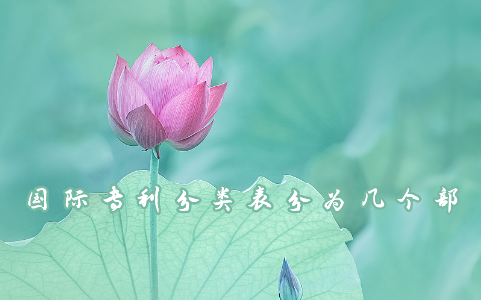 国际专利分类表分为几个部
