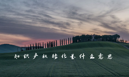 知识产权转化是什么意思