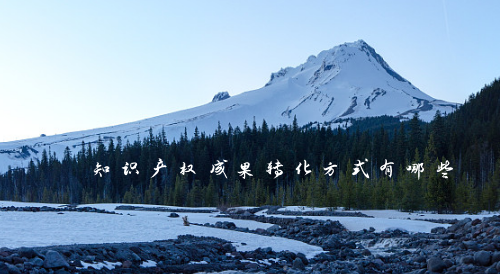 知识产权成果转化方式有哪些