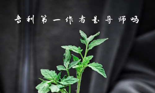 专利第一作者是导师吗