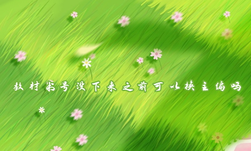 教材书号没下来之前可以换主编吗