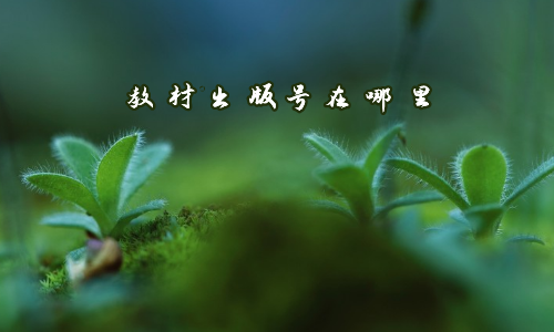 教材出版号在哪里