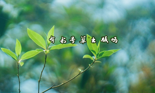 有书号算出版吗