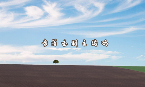 专著是副主编吗