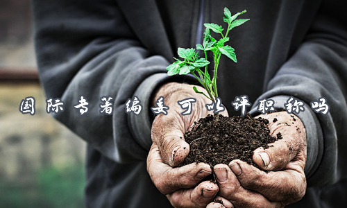 国际专著编委可以评职称吗