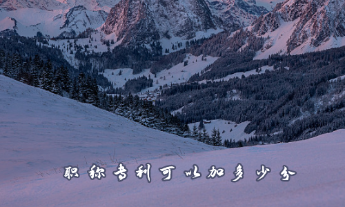 职称专利可以加多少分