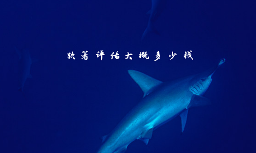 软著评估大概多少钱