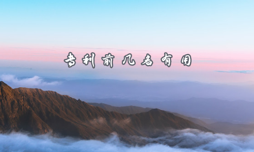专利前几名有用