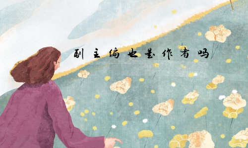 副主编也是作者吗