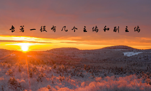 专著一般有几个主编和副主编