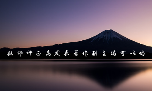 教师评正高发表著作副主编可以吗