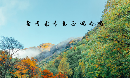 套用书号是正规的吗