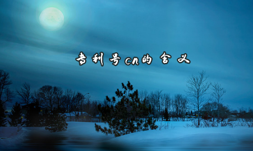 专利号cn的含义