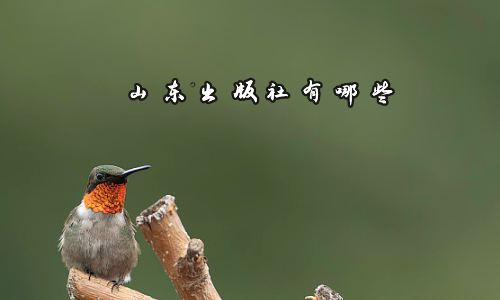 山东出版社有哪些