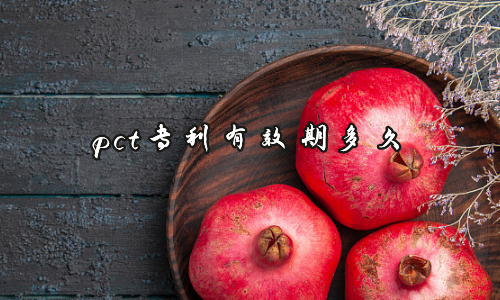 pct专利有效期多久