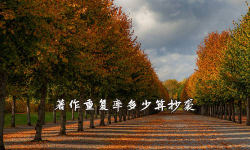 著作重复率多少算抄袭
