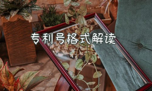 专利号格式解读