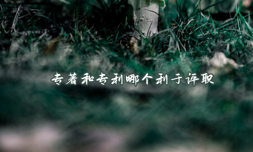 专著和专利哪个利于评职