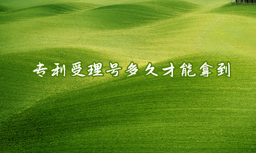 专利受理号多久才能拿到