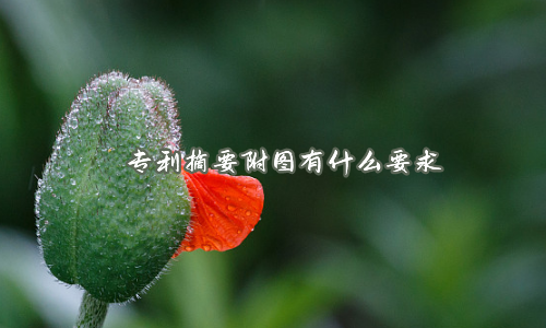 专利摘要附图有什么要求