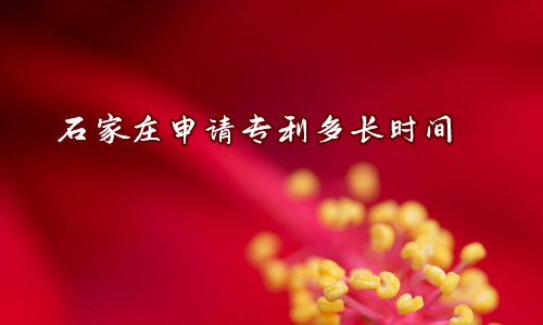 石家庄申请专利多长时间