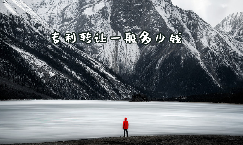 专利转让一般多少钱