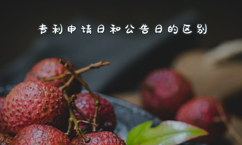 专利申请日和公告日的区别