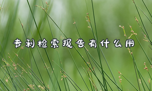 专利检索报告有什么用