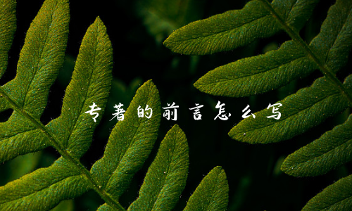 专著的前言怎么写