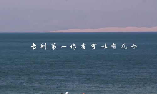 专利第一作者可以有几个