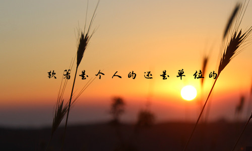 软著是个人的还是单位的