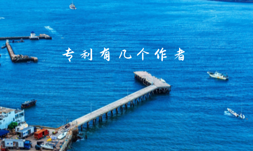 专利有几个作者