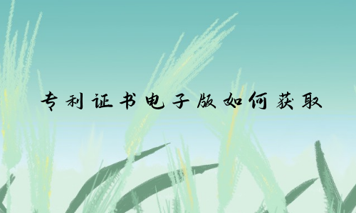 专利证书电子版如何获取